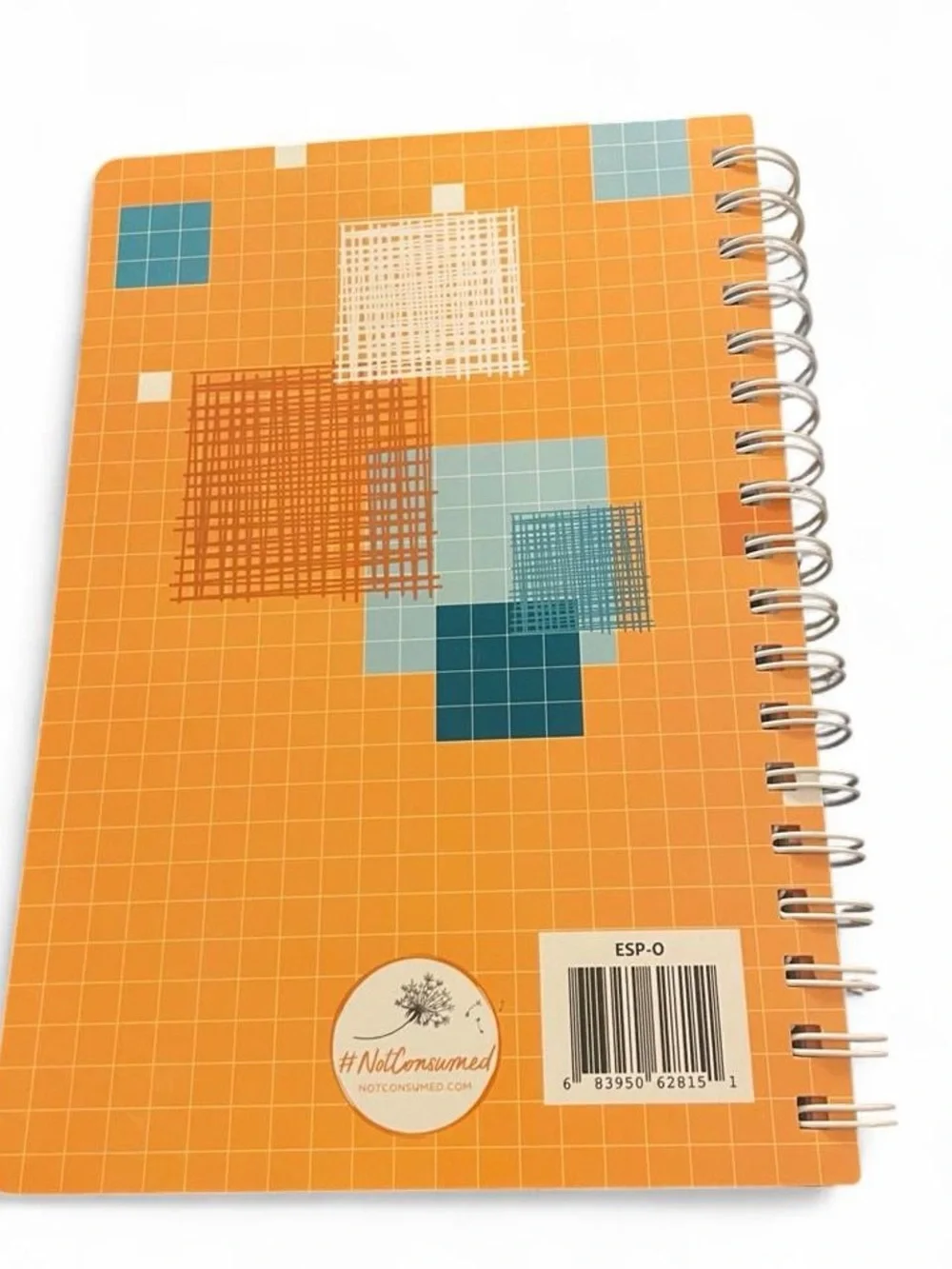 Not Consumed Elementary School Planner Unused Notebook Schedule Diary Undated